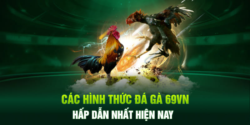 Các hình thức đá gà 69VN hấp dẫn và kịch tính