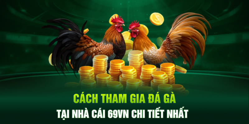 Cách tham gia đá gà 69VN thành công ngay từ lần đầu tiên