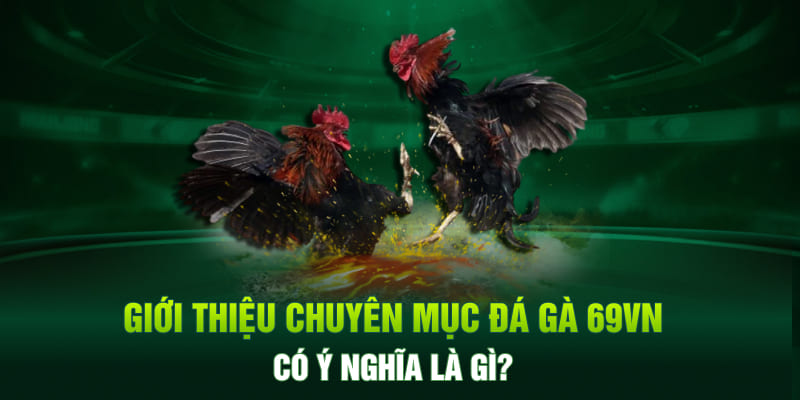 Thông tin giới thiệu tổng quan về chuyên mục đá gà 69VN