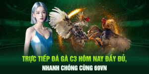 Trực Tiếp Đá Gà C3 Hôm Nay Đầy Đủ, Nhanh Chóng Cùng 69VN