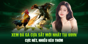 Xem Đá Gà Cựa Sắt Mới Nhất Tại 69VN Cực Nét, Nhiều Kèo Thơm